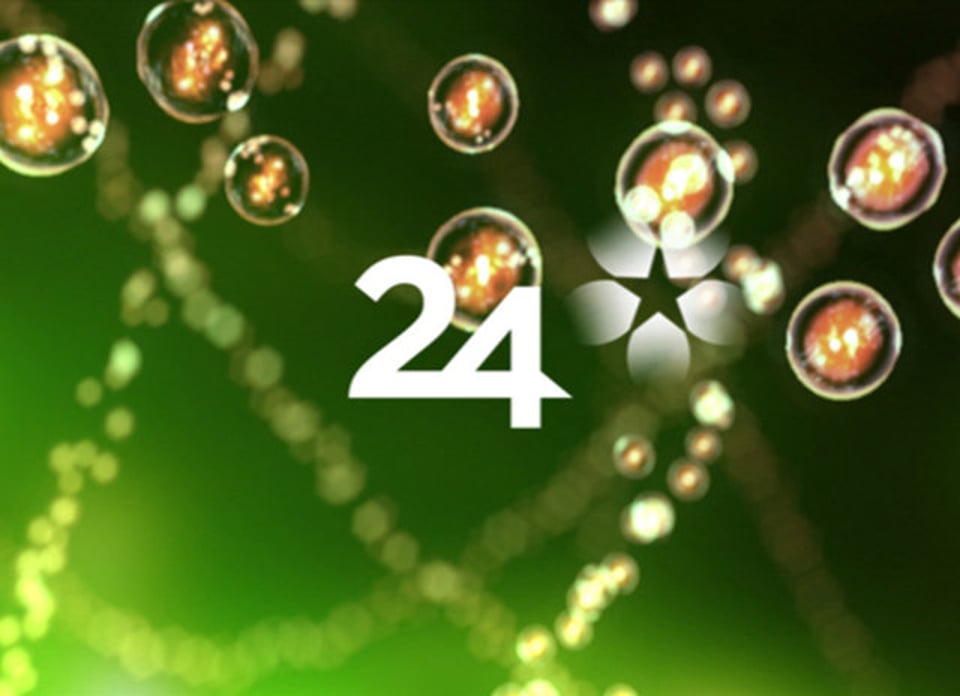 SVT24